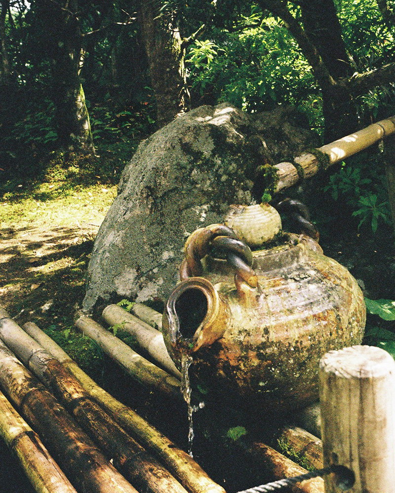 旧竹林院の庭園の中にあった水が貯められている土瓶。木漏れ日で薄茶色の土瓶が照らされている。