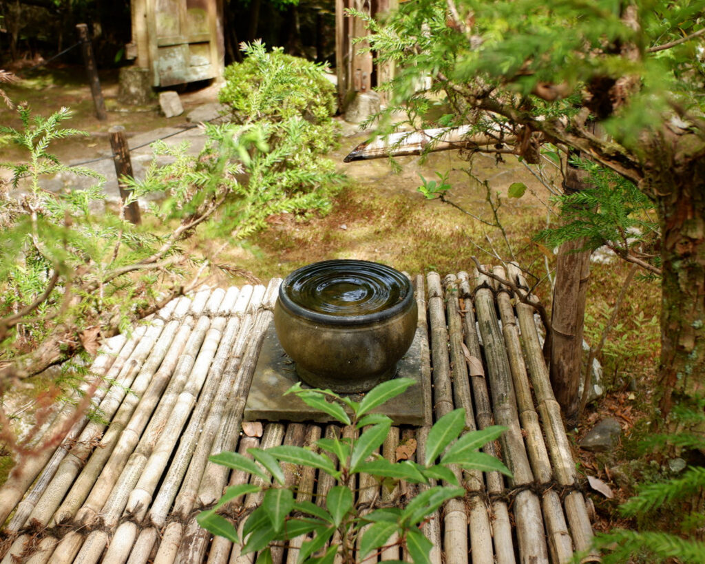 旧竹林院の庭園の中にあった器の写真。水が満杯の器に新しい水が滴って、水紋ができている。