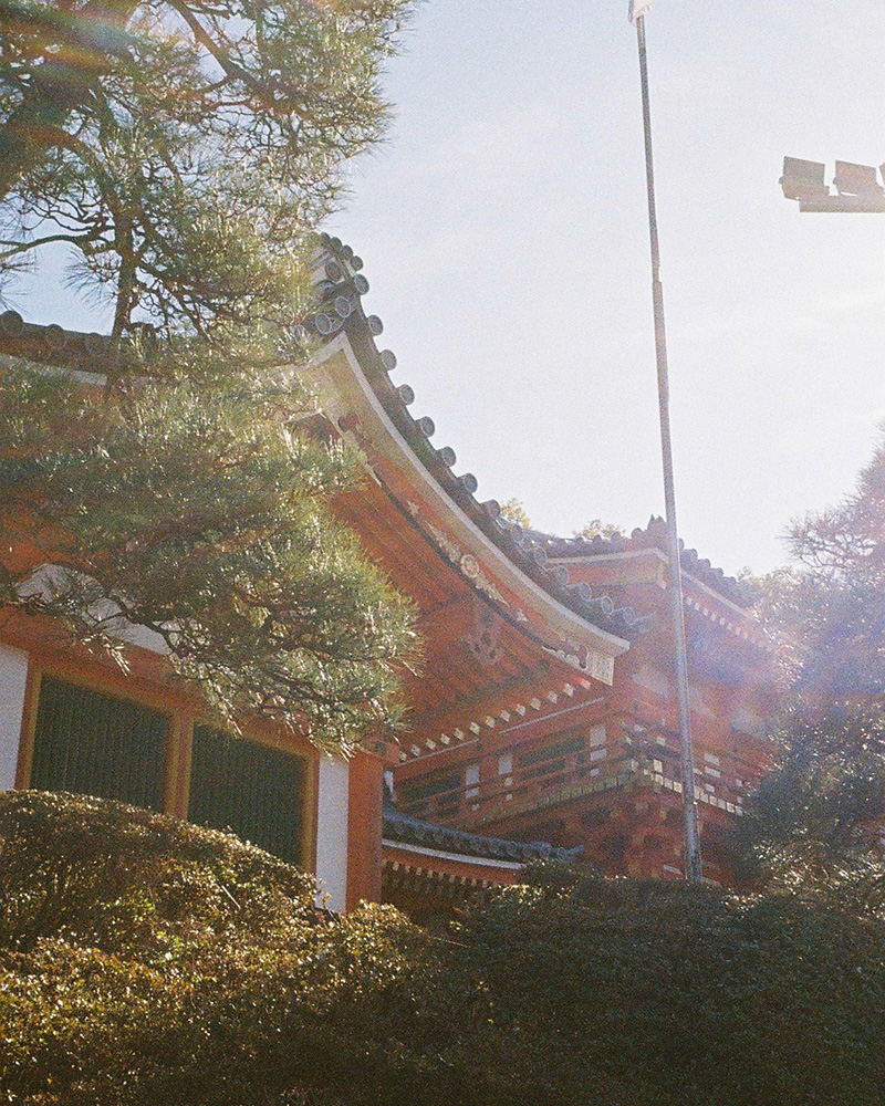 八坂神社の社殿の手前に木や植物が生えている。空は逆光気味で眩しい。