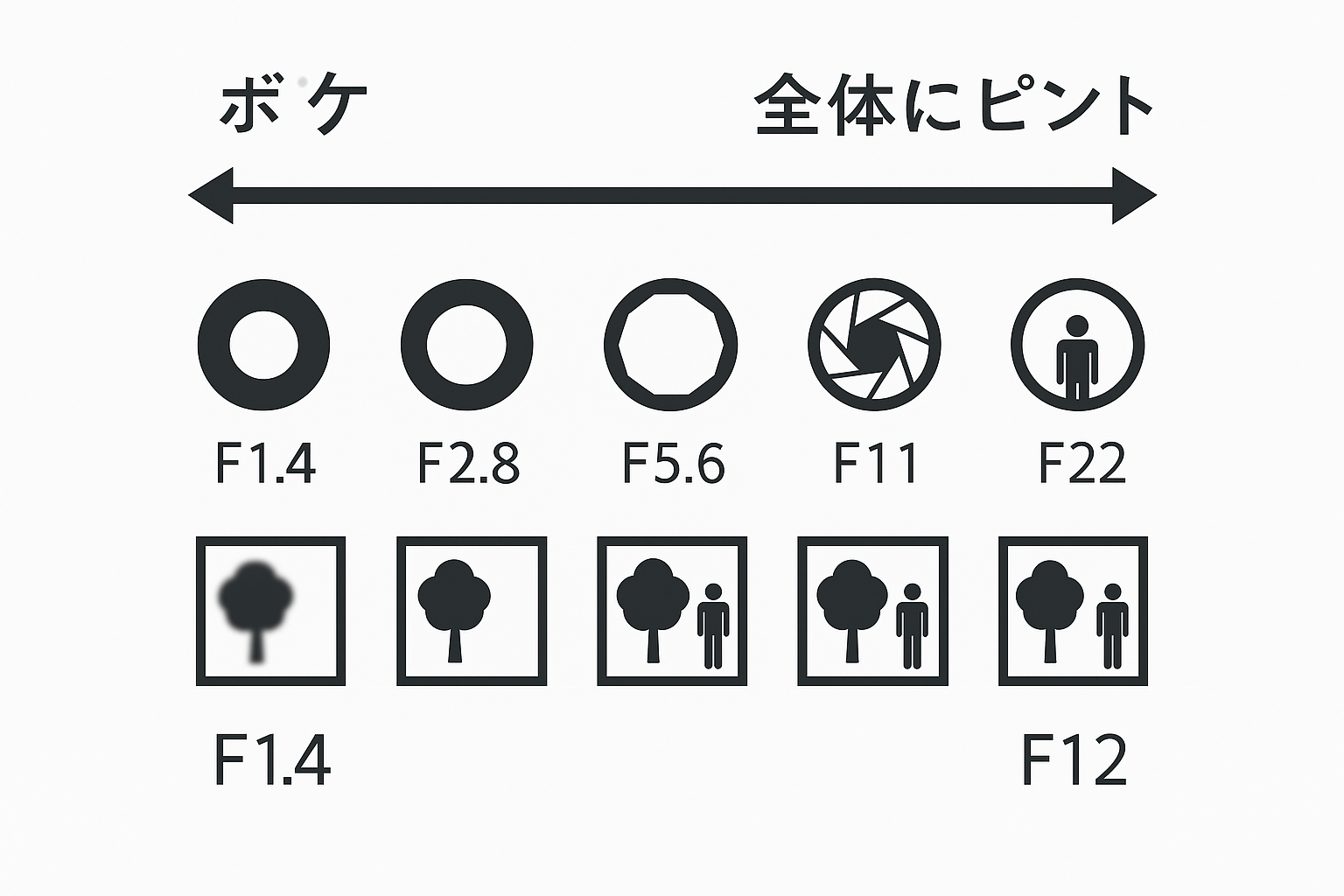 絞りを5段階ステップで解説。